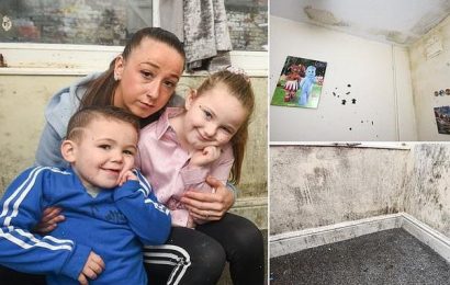 Mother says three-year-old son left struggling to breathe from mould