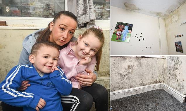 Mother says three-year-old son left struggling to breathe from mould