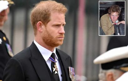 Prince Harry's US visa under scrutiny after duke's shocking drug admissions, lawyer claims | The Sun