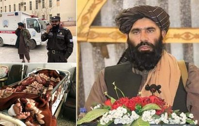 Suicide bomber kills Taliban regional leader in his office