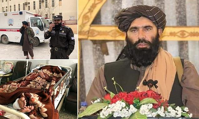 Suicide bomber kills Taliban regional leader in his office