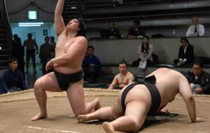 Sumo Wrestling Drama ‘Sanctuary’ Set for Launch at Netflix, Trailer Unveiled