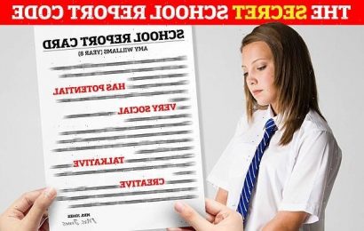 What it REALLY means when teachers write school report cards
