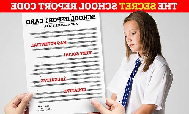 What it REALLY means when teachers write school report cards