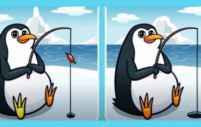 You could have a top IQ if you can spot the FIVE differences in these pictures of penguins fishing in five seconds | The Sun