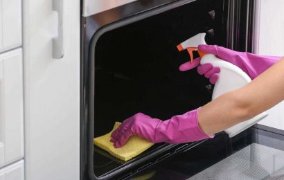 9 Best Oven Cleaners 2023 | The Sun