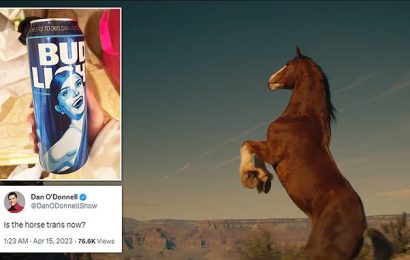 Budweiser releases ad featuring its Clydesdales and American landmark