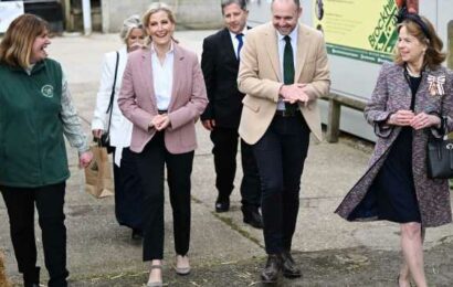 Duchess Sophie ‘looks beautiful’ in £206.50 pink blazer from Me + Em