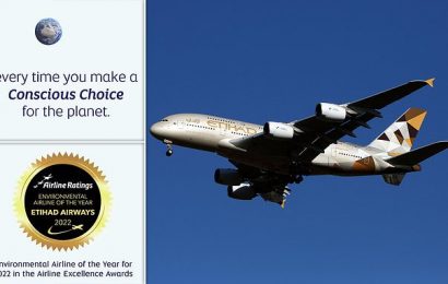 Etihad adverts banned for claims about &apos;sustainable aviation&apos; efforts