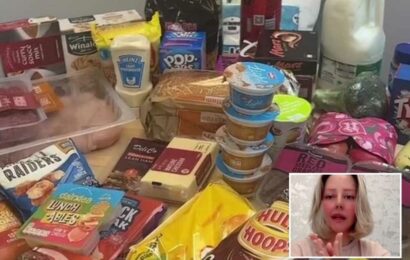 I’m a single mum and nurse and did a weekly food shop in Iceland… I basically feel robbed blind | The Sun