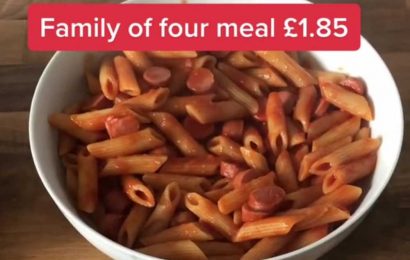 I'm a super saver and here's how to make a family-of-four dinner for just 46p each thanks to Aldi bargain buys | The Sun