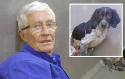 Paul O’Grady fans in tears as late star meets frightened abused dog