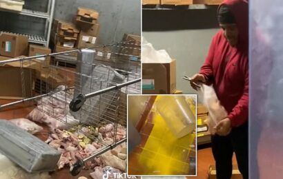 Popeyes employee destroys restaurant after &apos;not being paid for MONTH&apos;