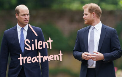 Prince Harry & Prince William Haven't Spoken A WORD To Each Other: 'A Big Void'
