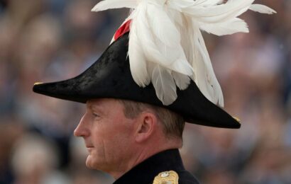 Feathers in a Coronation Cap