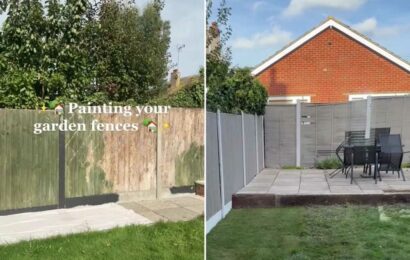 I was sick of looking at my depressing fence so gave it the ultimate makeover for £16…it completely transformed my space | The Sun