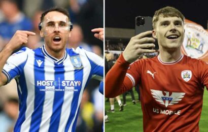 Sheffield Wednesday vs Barnsley: TV channel, live stream and kick-off time for League One playoff final | The Sun
