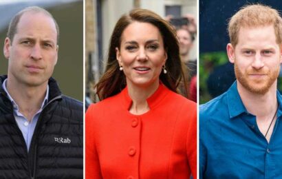 William and Kate Have ‘Been Under Pressure’ Over Harry Drama: Details