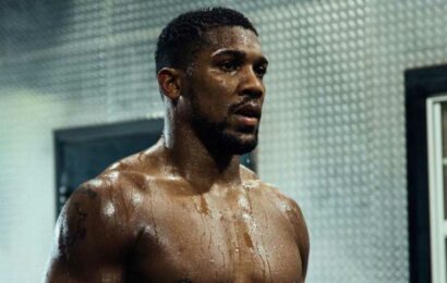 Anthony Joshua shows off hulking body after sweaty workout – but may be forced to wait MONTHS for next fight | The Sun