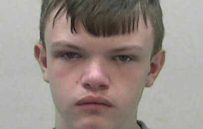 Baby-faced killer Leighton Amies, 15, jailed for 12 years after knifing Tomasz Oleszak, 14, to death | The Sun