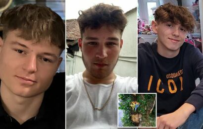 Families pay tribute to three teenagers killed in horror crash