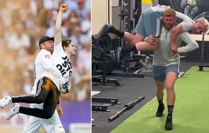 Fans find footage of Bairstow &apos;practising&apos; hauling off  protestor