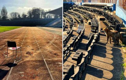 Former FA Cup final site that once hosted Usain Bolt now abandoned and left to rot while covered in fox poo | The Sun