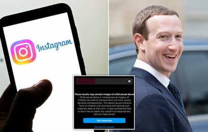 Instagram helps connect and promote network of pedophile accounts