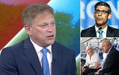 Shapps says PM did not alter Johnson&apos;s honours list &apos;in any way&apos;