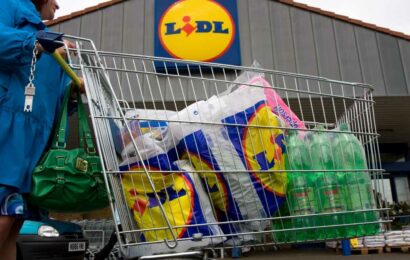 Shoppers are scrambling to get their hands on Lidl’s £1.50 veg box – and they’re absolutely huge | The Sun