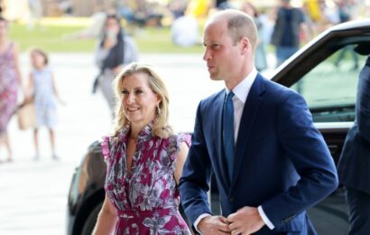 Sophie ‘adds subtle maternal touch’ to ‘poignant’ outing with Prince William