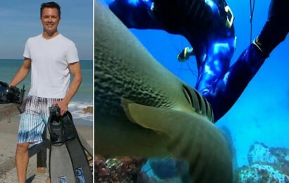 Terrifying moment diver is rammed by a shark off Florida coast