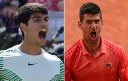 When is the Wimbledon 2023 draw? Start time, seeding as Carlos Alcaraz and Novak Djokovic learn fate | The Sun
