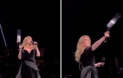 Adele Warns Fans, 'I'll F**king Kill You' If You Throw Things at Me During Vegas Show