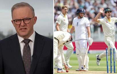 Anthony Albanese tells Jonny Bairstow to harden up over Ashes scandal