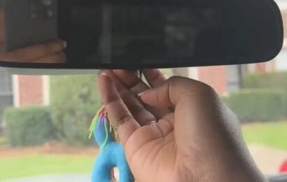 Driver issues urgent advice about a secret button under the mirror