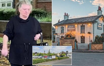 Florist, 58, who drove to a pub while drunk parked in a hedge
