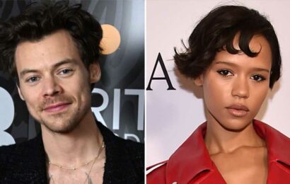 Harry Styles and Rumored GF Taylor Russell Spotted in Vienna