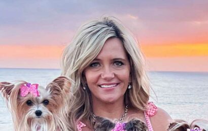 I've spent almost $45k on my 3 pampered dogs' lifestyle inspired by a major movie – they have 6,000 outfits and a Jeep | The Sun