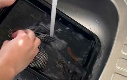 My 'tea bag' trick will remove burnt food from your oven trays in minutes – with no scrubbing required | The Sun
