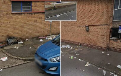 Our town is so filthy you can see the state of it on Google Maps