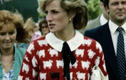 Princess Diana&apos;s black sheep jumper goes on display at Sotheby&apos;s