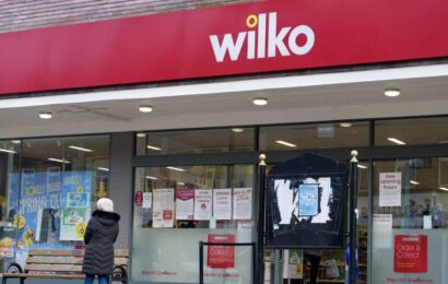 Shoppers are running to Wilko to buy garden essentials that are scanning for just 50p at the till | The Sun