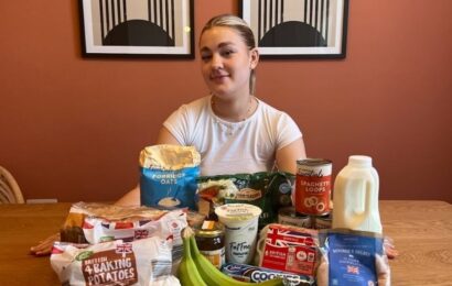 Student heads to Aldi and shows how you can do weekly shop for just £10