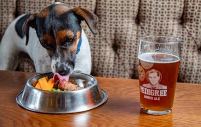 Britain's best pub for dogs has a library of sticks and two menus just for pets