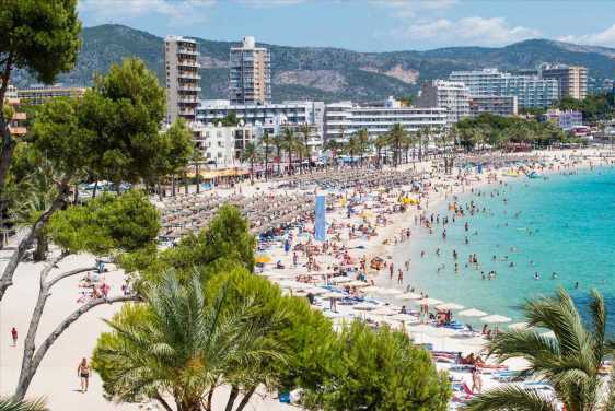 Female Brit tourist, 20, ‘groped by UK holidaymaker at Magaluf hotel’ as cops arrest man, 48, over ‘sexual assault’ | The Sun Female Brit tourist, 20, ‘groped by UK holidaymaker at Magaluf hotel’ as cops arrest man, 48, over ‘sexual assault’ | The Sun