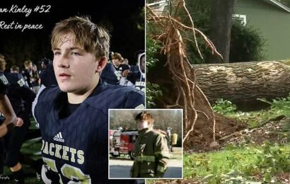 Football star, 15, dies after tree falls on him during severe storm