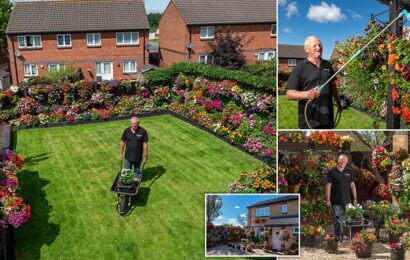Grandfather fills 200 baskets with 2,000 plants