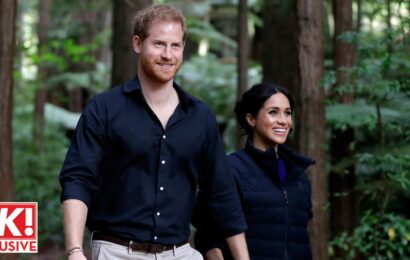 Harry and Meghan ‘split’ truth – ‘careers pulling them in different directions’