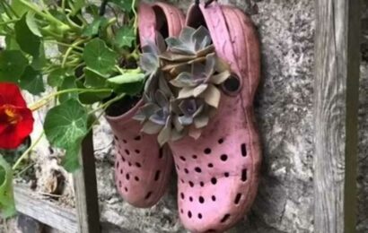 I use my old Crocs as a gardening tool – they're the perfect solution for beautiful plants | The Sun